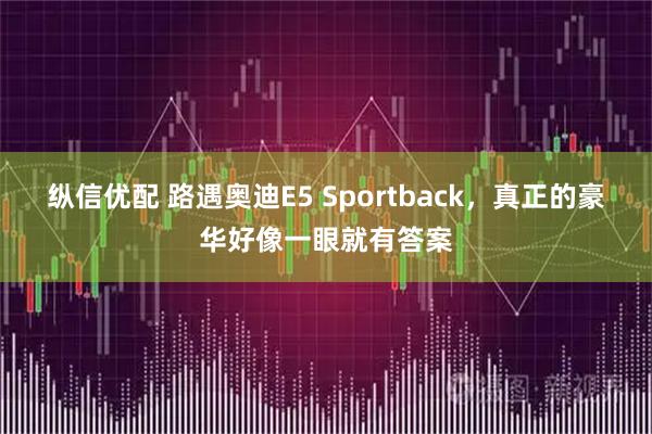 纵信优配 路遇奥迪E5 Sportback，真正的豪华好像一眼就有答案