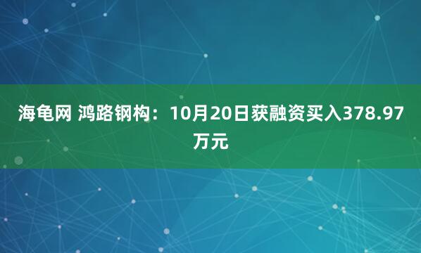 海龟网 鸿路钢构：10月20日获融资买入378.97万元