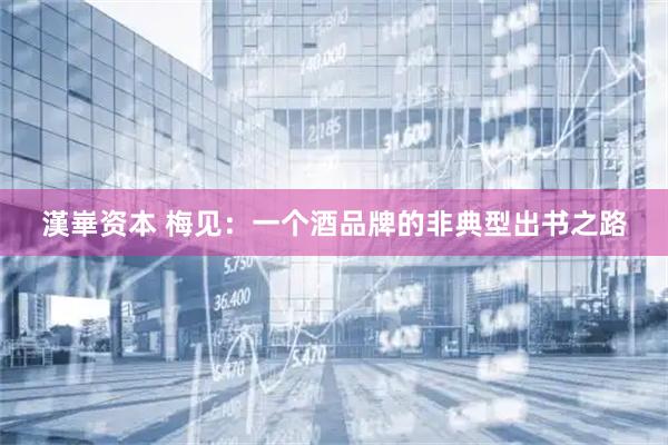 漢崋资本 梅见：一个酒品牌的非典型出书之路