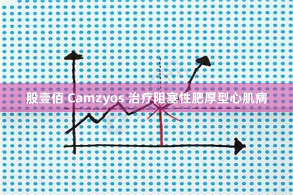 股壹佰 Camzyos 治疗阻塞性肥厚型心肌病