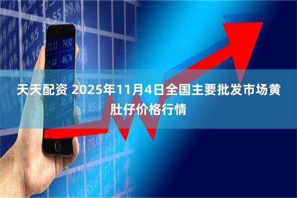 天天配资 2025年11月4日全国主要批发市场黄肚仔价格行情